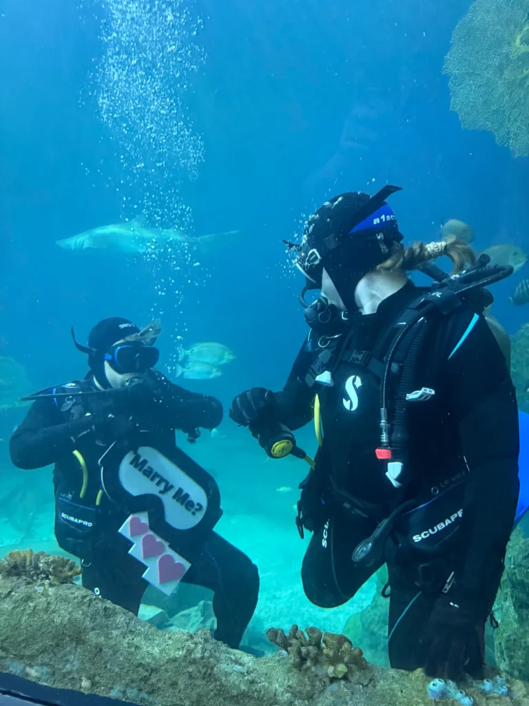 Underwater scuba diving proposal with Marry Me sign and Haejin Jewelry heart shaped lab grown diamond engagement ring